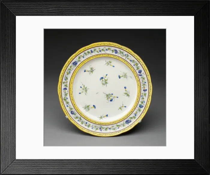 Framed Print : Plate, Sevres, 1788. Creators: Sevres Porcelain Manufactory Framed Print : Plate, Sevres, 1788. Creators: Sevres Porcelain Manufactory