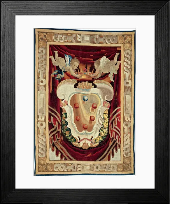 Framed Print : Medici Armorial, Italy, 1643 / 44. Creator: Unknown Framed Print : Medici Armorial, Italy, 1643 / 44. Creator: Unknown