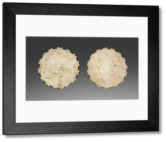 Framed Print : Ear Spools, 200 B. C. / A. D. 200. Creator: Unknown Framed Print : Ear Spools, 200 B. C. / A. D. 200. Creator: Unknown