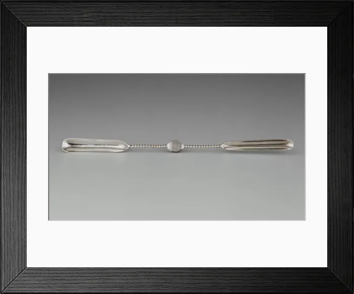 Framed Print : Marrow Scoop, 1859 / 62. Creator: Gale & Willis Framed Print : Marrow Scoop, 1859 / 62. Creator: Gale & Willis