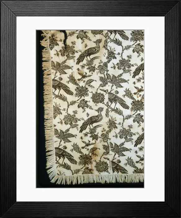 Framed Print : Panel (Furnishing Fabric), England, c. 1760 / 70. Creator: Bromley Hall Framed Print : Panel (Furnishing Fabric), England, c. 1760 / 70. Creator: Bromley Hall