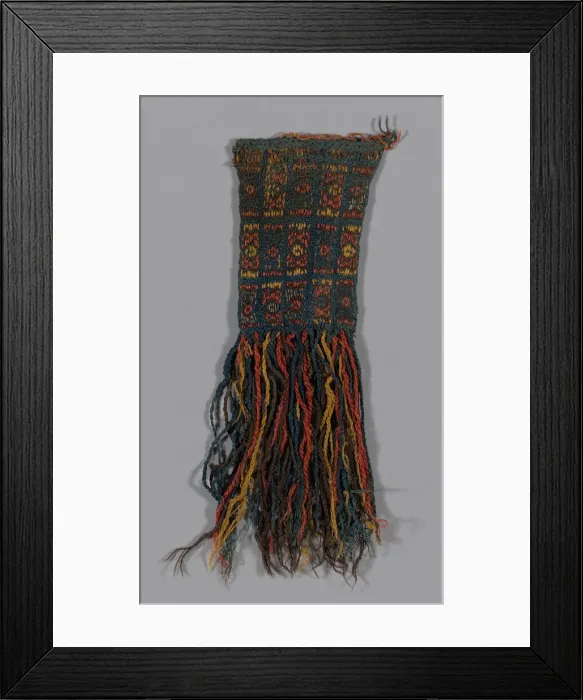 Framed Print : Panel (Probably from a Mantle), Peru, A. D. 800 / 900. Creator: Unknown Framed Print : Panel (Probably from a Mantle), Peru, A. D. 800 / 900. Creator: Unknown