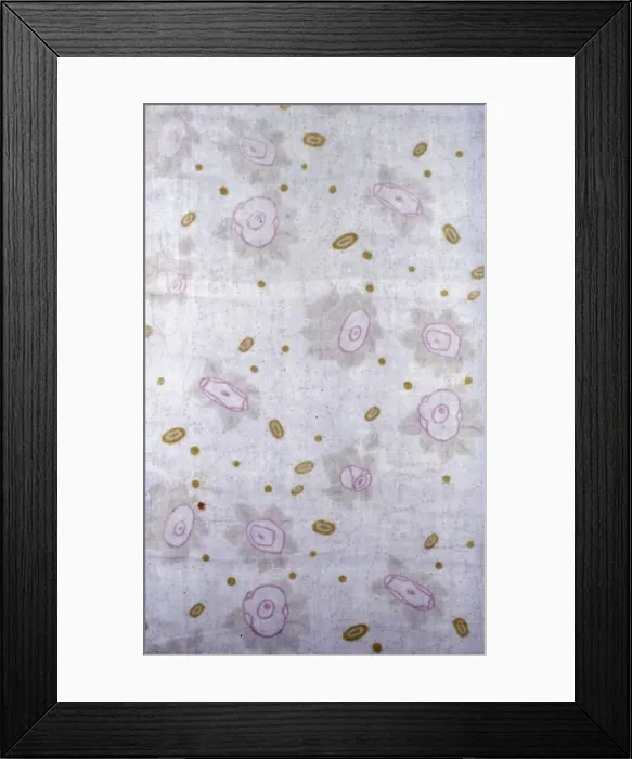 Framed Print : Panel (Dress or Furnishing Fabric), Vienna, 1903 / 05. Creator: Wiener Werkstatte Framed Print : Panel (Dress or Furnishing Fabric), Vienna, 1903 / 05. Creator: Wiener Werkstatte