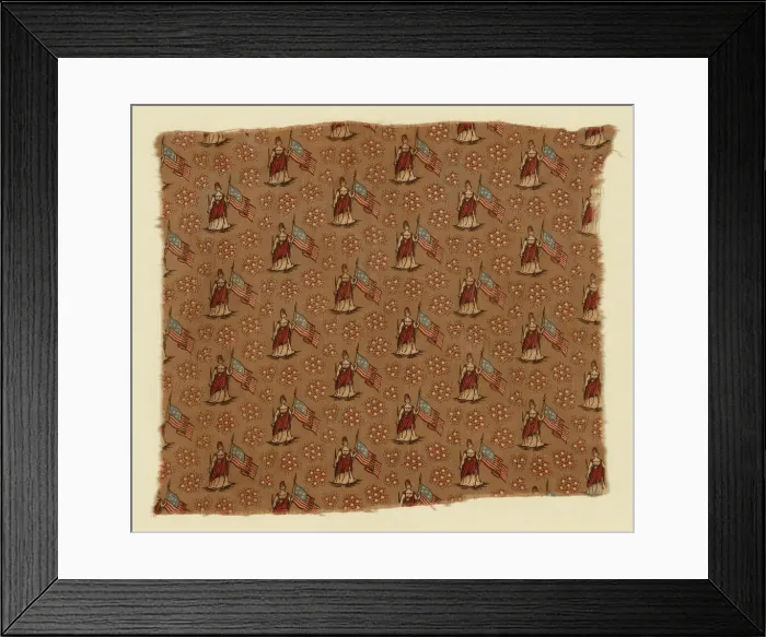Framed Print : Fragment (Furnishing Fabric), United States, c. 1876. Creator: Unknown Framed Print : Fragment (Furnishing Fabric), United States, c. 1876. Creator: Unknown