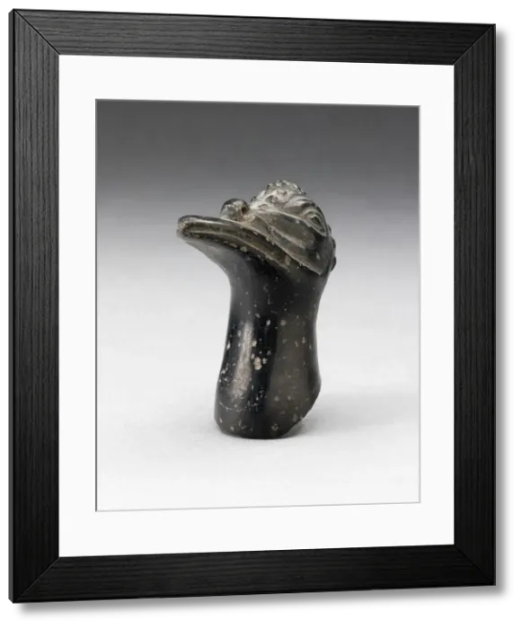 Framed Print : Fragment from a Blackware Vessel in the Form of a Crested Bird Head, A. D. 1000 / 1400 Framed Print : Fragment from a Blackware Vessel in the Form of a Crested Bird Head, A. D. 1000 / 1400