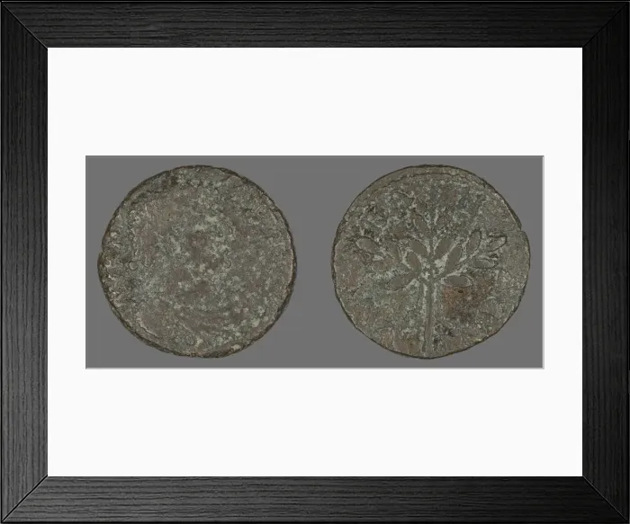 Framed Print : Coin Portraying Emperor Caracalla, 198-217 CE. Creator: Unknown Framed Print : Coin Portraying Emperor Caracalla, 198-217 CE. Creator: Unknown