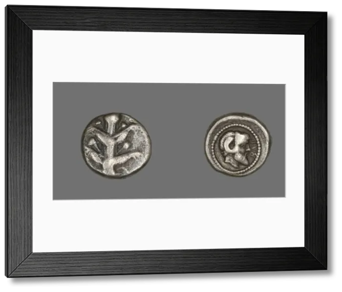 Framed Print : Coin Depicting Silphium Plant, 480-435 BCE. Creator: Unknown Framed Print : Coin Depicting Silphium Plant, 480-435 BCE. Creator: Unknown