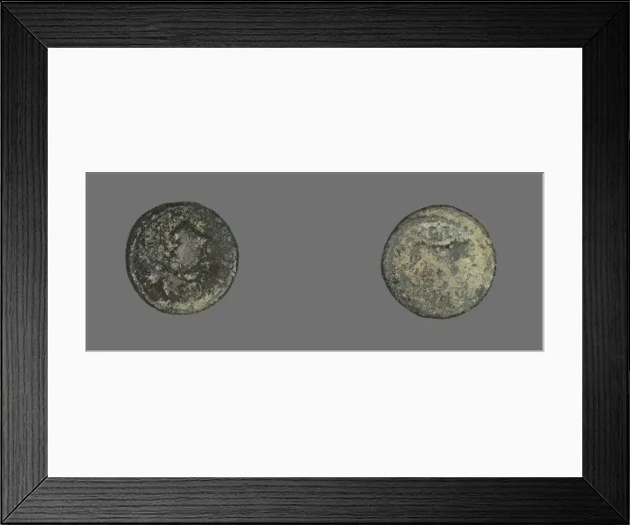Framed Print : Coin Depicting a Lion, 193-211. Creator: Unknown Framed Print : Coin Depicting a Lion, 193-211. Creator: Unknown