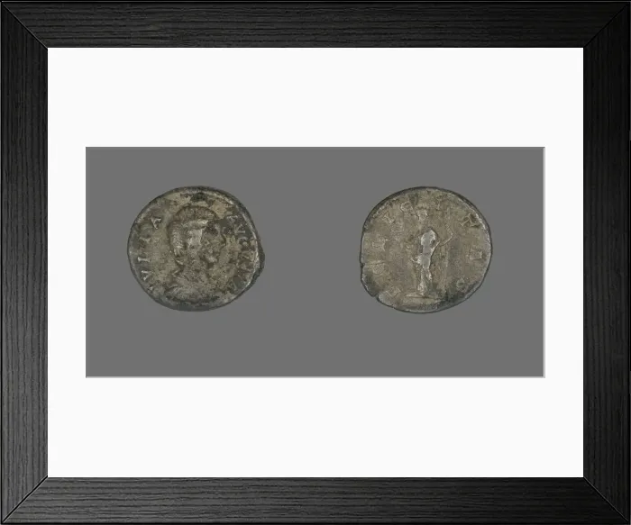 Framed Print : Denarius (Coin) Portraying Julia Domna, 193-217. Creator: Unknown Framed Print : Denarius (Coin) Portraying Julia Domna, 193-217. Creator: Unknown