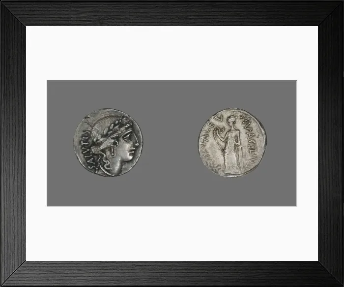 Framed Print : Denarius (Coin) Depicting the Goddess Salus, about 49 BCE. Creator: Unknown Framed Print : Denarius (Coin) Depicting the Goddess Salus, about 49 BCE. Creator: Unknown