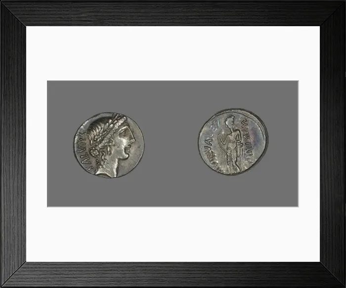Framed Print : Denarius (Coin) Depicting the Goddess Salus, about 49 BCE. Creator: Unknown Framed Print : Denarius (Coin) Depicting the Goddess Salus, about 49 BCE. Creator: Unknown