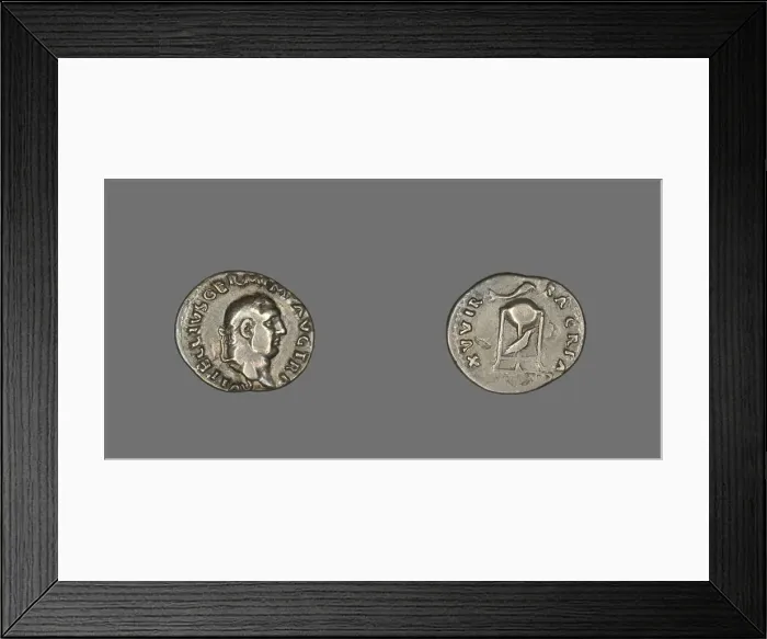 Framed Print : Denarius (Coin) Portraying Emperor Vitellius, 69 (late April-December). Creator: Unknown Framed Print : Denarius (Coin) Portraying Emperor Vitellius, 69 (late April-December). Creator: Unknown