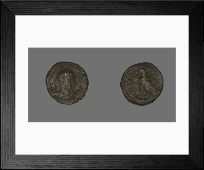 Framed Print : Tetradrachm (Coin) Portraying Emperor Gallienus, 253-268. Creator: Unknown Framed Print : Tetradrachm (Coin) Portraying Emperor Gallienus, 253-268. Creator: Unknown