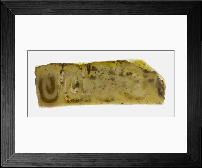 Framed Print : Fragment of a Plate, 1st century BCE-1st century CE. Creator: Unknown Framed Print : Fragment of a Plate, 1st century BCE-1st century CE. Creator: Unknown