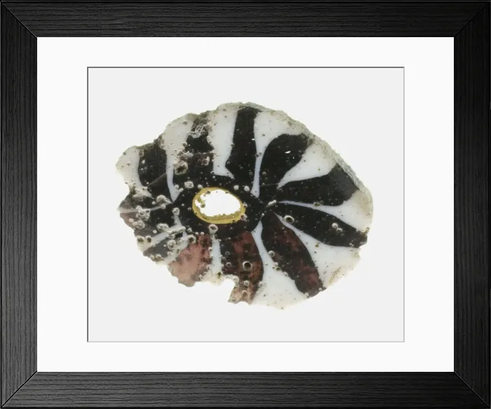 Framed Print : Fragment of an Inlay Depicting a Rosette, 1st century BCE-1st century CE Framed Print : Fragment of an Inlay Depicting a Rosette, 1st century BCE-1st century CE