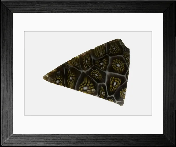 Framed Print : Fragment of a Bowl, 1st century BCE-1st century CE. Creator: Unknown Framed Print : Fragment of a Bowl, 1st century BCE-1st century CE. Creator: Unknown