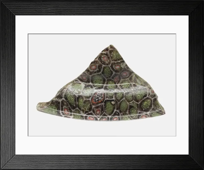 Framed Print : Fragment of a Cup, 1st century BCE-1st century CE. Creator: Unknown Framed Print : Fragment of a Cup, 1st century BCE-1st century CE. Creator: Unknown