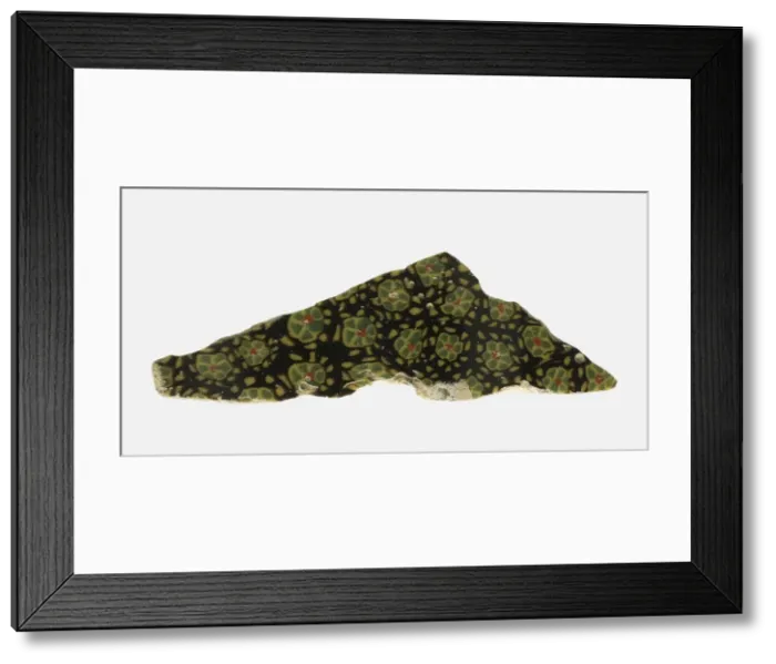 Framed Print : Fragment of a Revetment, 1st century BCE-1st century CE. Creator: Unknown Framed Print : Fragment of a Revetment, 1st century BCE-1st century CE. Creator: Unknown