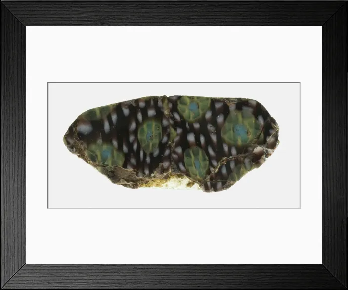 Framed Print : Fragment of a Revetment, 1st century BCE-1st century CE. Creator: Unknown Framed Print : Fragment of a Revetment, 1st century BCE-1st century CE. Creator: Unknown