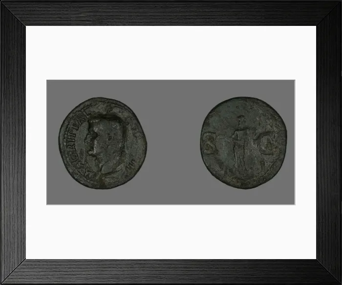 Framed Print : As (Coin) Portraying Agrippa, 14-37 or 37-41?. Creator: Unknown Framed Print : As (Coin) Portraying Agrippa, 14-37 or 37-41?. Creator: Unknown