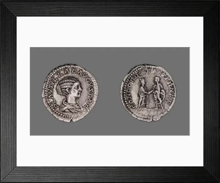 Framed Print : Denarius (Coin) Portraying Plautilla, 202-205, issued by Septimius Severus Framed Print : Denarius (Coin) Portraying Plautilla, 202-205, issued by Septimius Severus