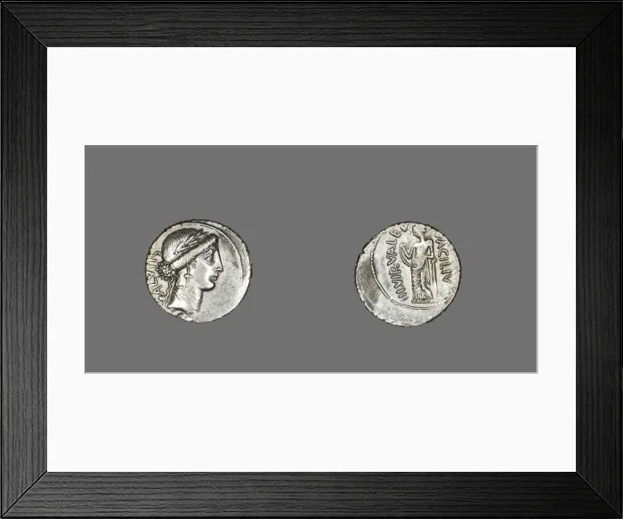 Framed Print : Denarius (Coin) Depicting the Goddess Salus, 49 BCE. Creator: Unknown Framed Print : Denarius (Coin) Depicting the Goddess Salus, 49 BCE. Creator: Unknown