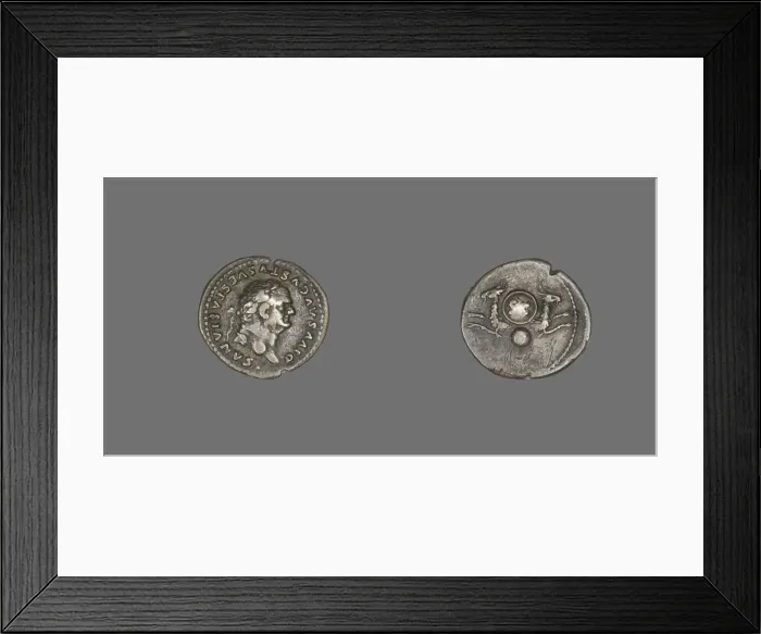 Framed Print : Denarius (Coin) Portraying Emperor Vespasian, 80-81. Creator: Unknown Framed Print : Denarius (Coin) Portraying Emperor Vespasian, 80-81. Creator: Unknown