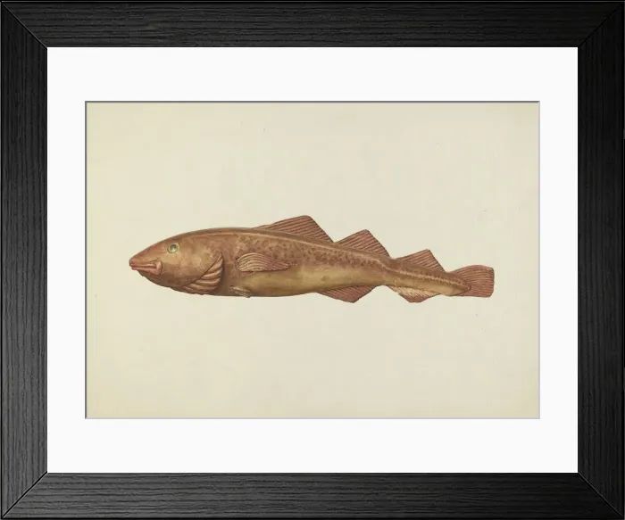 Framed Print : Fish Woodcarving, probably 1938. Creator: Ingrid Selmer-Larsen Framed Print : Fish Woodcarving, probably 1938. Creator: Ingrid Selmer-Larsen