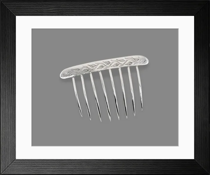 Framed Print : Comb, 1828 / 50. Creator: William D. Rapp Framed Print : Comb, 1828 / 50. Creator: William D. Rapp