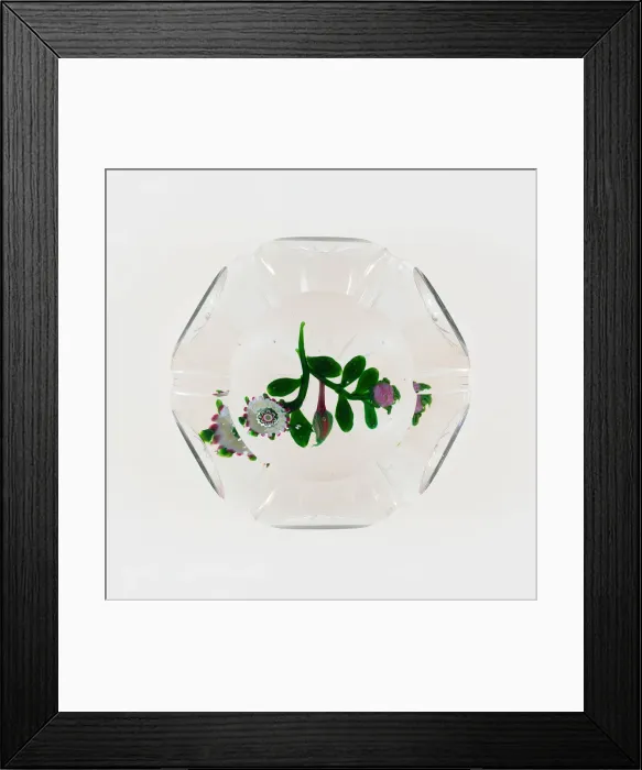 Framed Print : Paperweight, Clichy, c. 1848-55. Creator: Clichy Glassworks Framed Print : Paperweight, Clichy, c. 1848-55. Creator: Clichy Glassworks