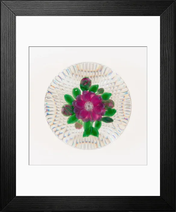 Framed Print : Paperweight, Clichy, 19th century. Creator: Clichy Glassworks Framed Print : Paperweight, Clichy, 19th century. Creator: Clichy Glassworks