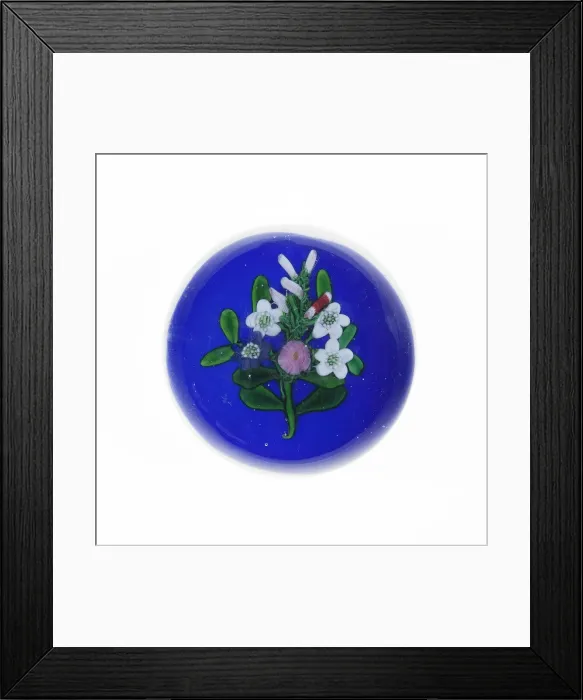 Framed Print : Paperweight, France, c. 1845 / 60. Creator: Clichy Glassworks Framed Print : Paperweight, France, c. 1845 / 60. Creator: Clichy Glassworks