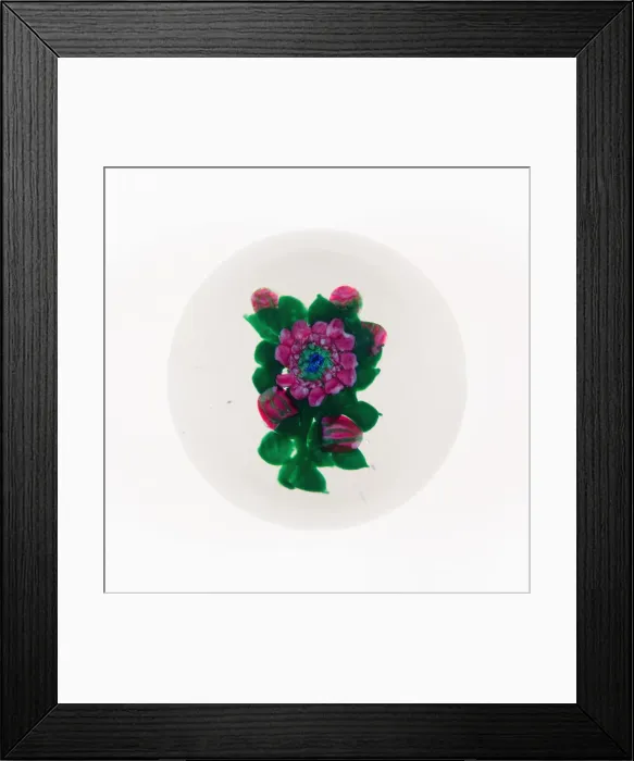 Framed Print : Paperweight, France, 19th century. Creator: Clichy Glassworks Framed Print : Paperweight, France, 19th century. Creator: Clichy Glassworks