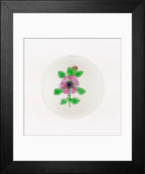 Framed Print : Paperweight, France, 19th century. Creator: Clichy Glassworks Framed Print : Paperweight, France, 19th century. Creator: Clichy Glassworks