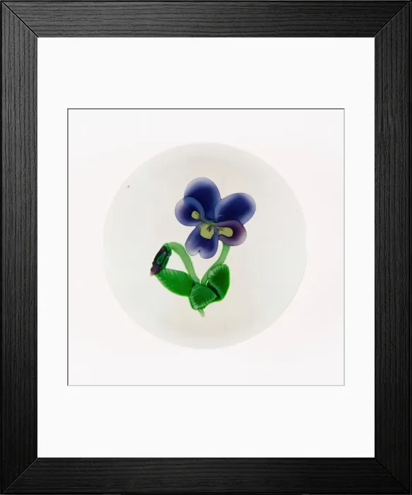 Framed Print : Paperweight, France, c. 1845 / 60. Creator: Clichy Glassworks Framed Print : Paperweight, France, c. 1845 / 60. Creator: Clichy Glassworks