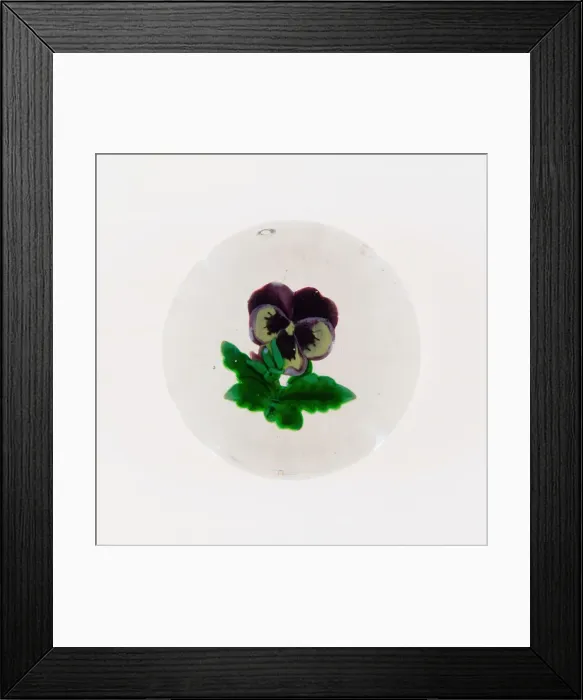 Framed Print : Paperweight, France, 19th century. Creator: Clichy Glassworks Framed Print : Paperweight, France, 19th century. Creator: Clichy Glassworks