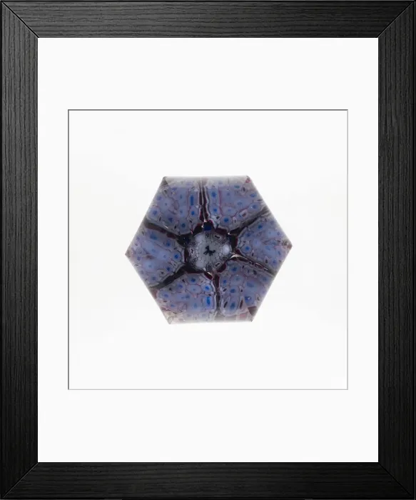 Framed Print : Paperweight, France, Mid 19th century. Creator: Unknown Framed Print : Paperweight, France, Mid 19th century. Creator: Unknown