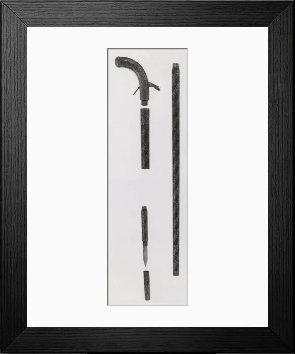 Framed Print : Combined Walking-Cane, Gun, Pistol, Sword, and Dagger, India subcontinent Framed Print : Combined Walking-Cane, Gun, Pistol, Sword, and Dagger, India subcontinent