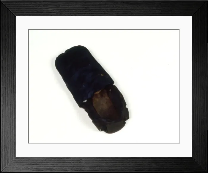 Framed Print : Shoe, England, 16th century. Creator: Unknown Framed Print : Shoe, England, 16th century. Creator: Unknown