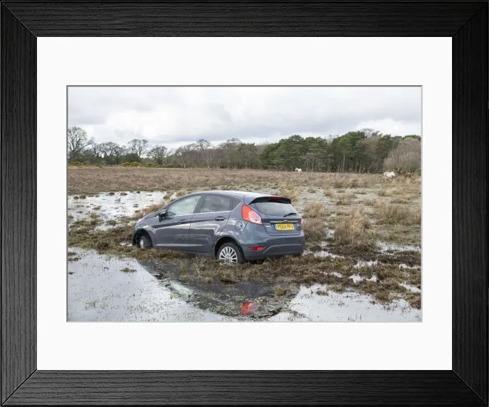Framed Print : Ford Fiesta accident in New Forest, 2020. Creator: Tim Woodcock Framed Print : Ford Fiesta accident in New Forest, 2020. Creator: Tim Woodcock