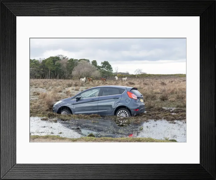 Framed Print : Ford Fiesta accident in New Forest, 2020. Creator: Tim Woodcock