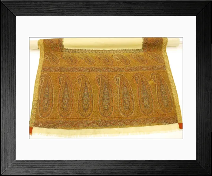 Framed Print : Shawl, India, 19th century. Creator: Unknown Framed Print : Shawl, India, 19th century. Creator: Unknown