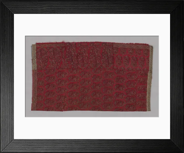 Framed Print : Shawl, India, late 18th / early 19th century. Creator: Unknown Framed Print : Shawl, India, late 18th / early 19th century. Creator: Unknown