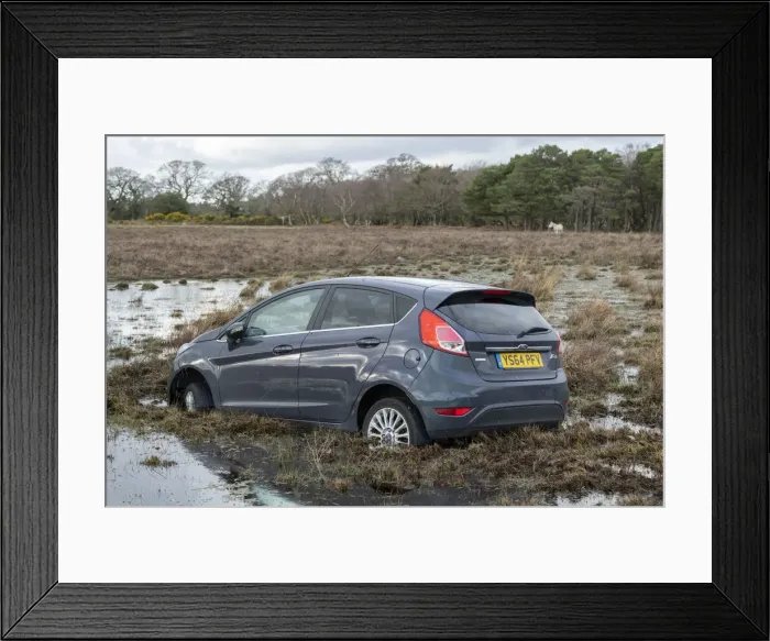 Framed Print : Ford Fiesta accident in New Forest, 2020. Creator: Tim Woodcock Framed Print : Ford Fiesta accident in New Forest, 2020. Creator: Tim Woodcock