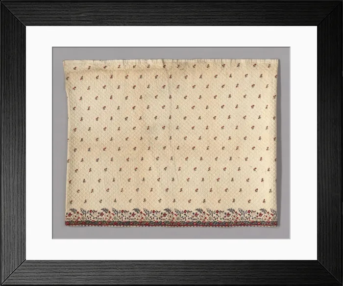 Framed Print : Petticoat, France, 18th century. Creator: Unknown Framed Print : Petticoat, France, 18th century. Creator: Unknown