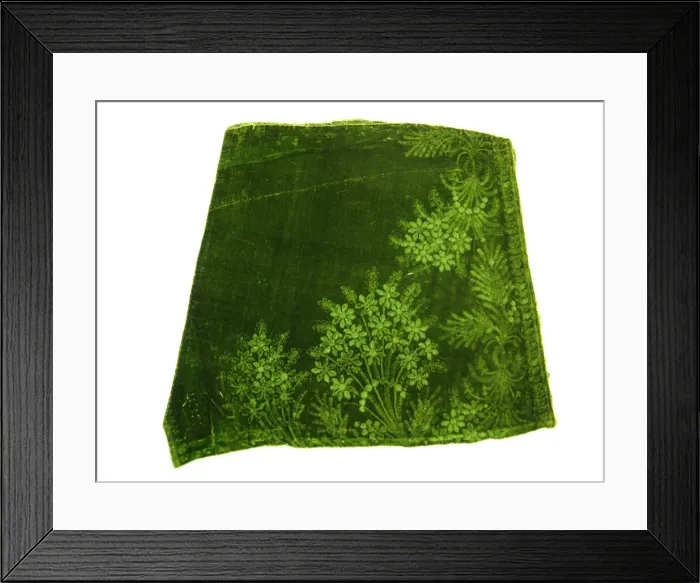 Framed Print : Velvet Fragment, France, 18th century. Creator: Unknown Framed Print : Velvet Fragment, France, 18th century. Creator: Unknown