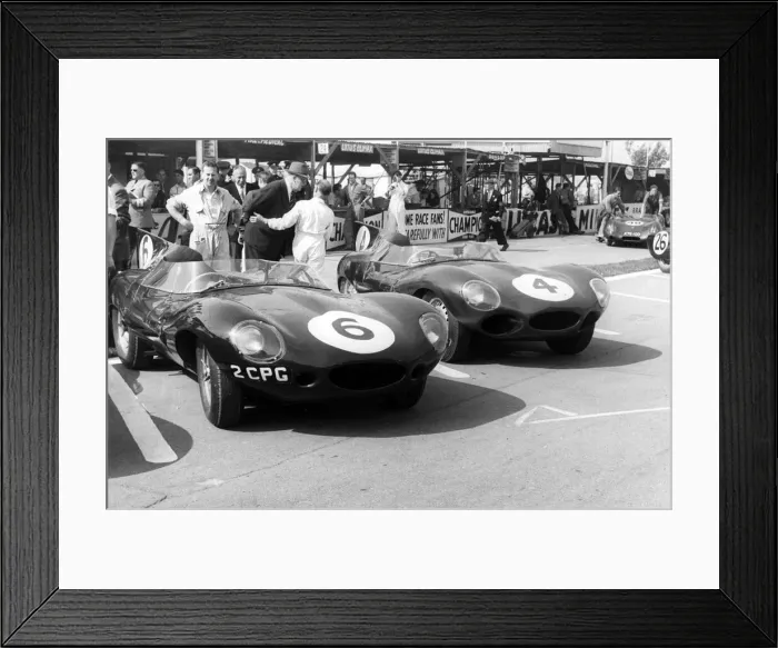 Framed Print : Jaguar D types in the paddock, RAC Tourist Trophy, Goodwood, Sussex, 1958 Framed Print : Jaguar D types in the paddock, RAC Tourist Trophy, Goodwood, Sussex, 1958