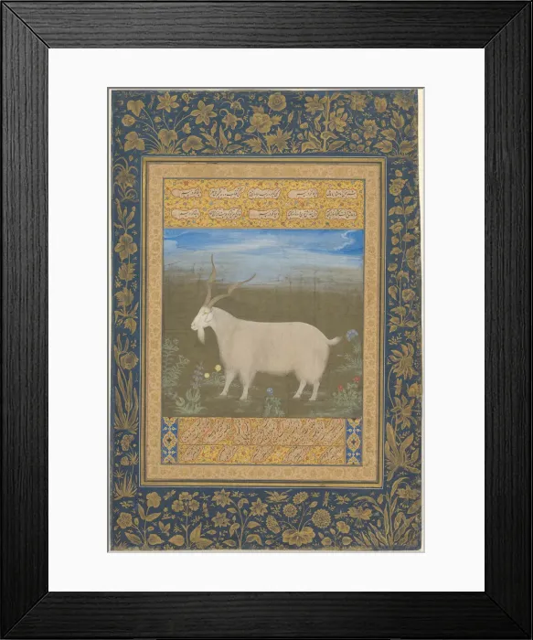 Framed Print : Portrait of a Ladakhi Mountain Goat, about 1600. Creator: Unknown Framed Print : Portrait of a Ladakhi Mountain Goat, about 1600. Creator: Unknown