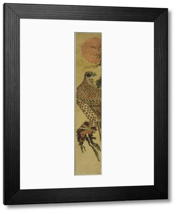 Framed Print : Falcon at Sunrise, c. 1775. Creator: Isoda Koryusai Framed Print : Falcon at Sunrise, c. 1775. Creator: Isoda Koryusai