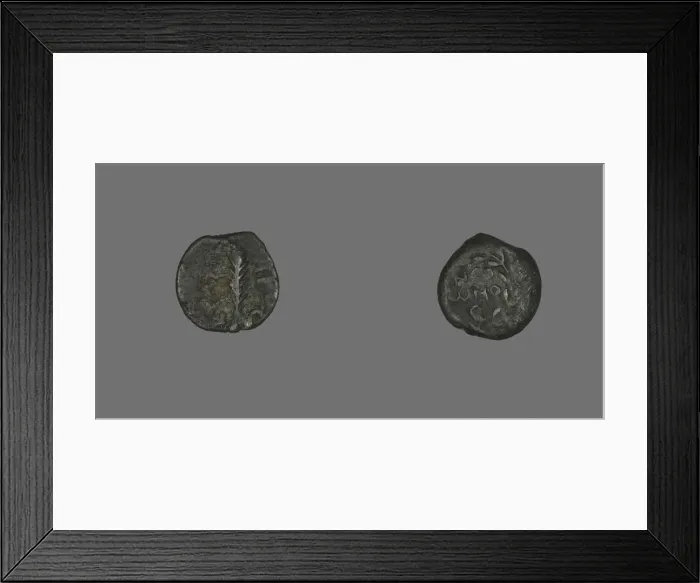 Framed Print : Coin Depicting a Palm Branch, 58-59, Procurator-Antonius Felix (Neros reign) Framed Print : Coin Depicting a Palm Branch, 58-59, Procurator-Antonius Felix (Neros reign)